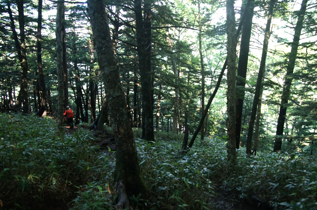 f0214649_16555539.jpg