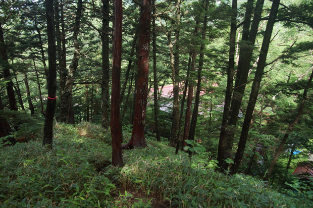 f0214649_16593425.jpg