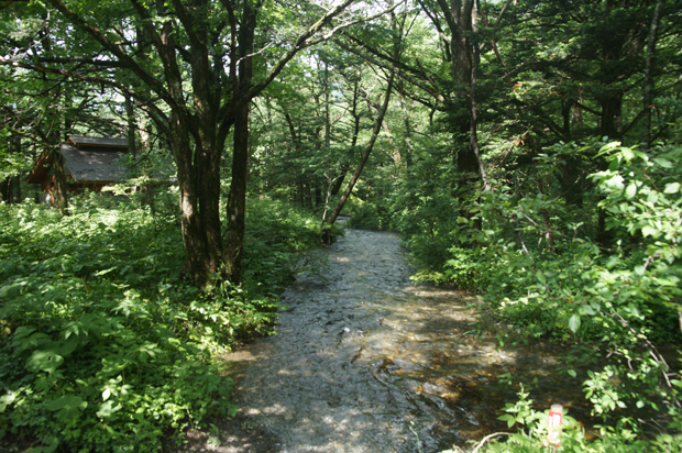 f0214649_17114790.jpg