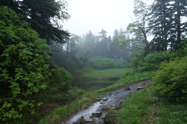 f0214649_9553486.jpg