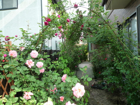 a0249051_448114.jpg