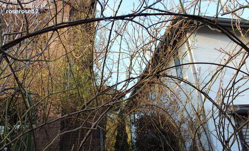 a0249051_459127.jpg