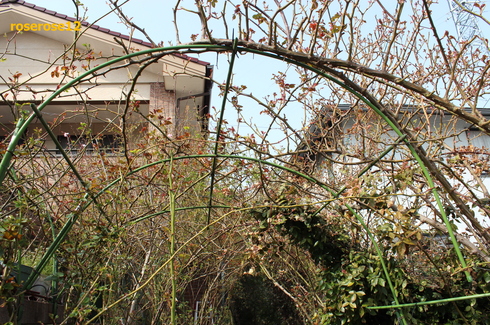 a0249051_5203586.jpg