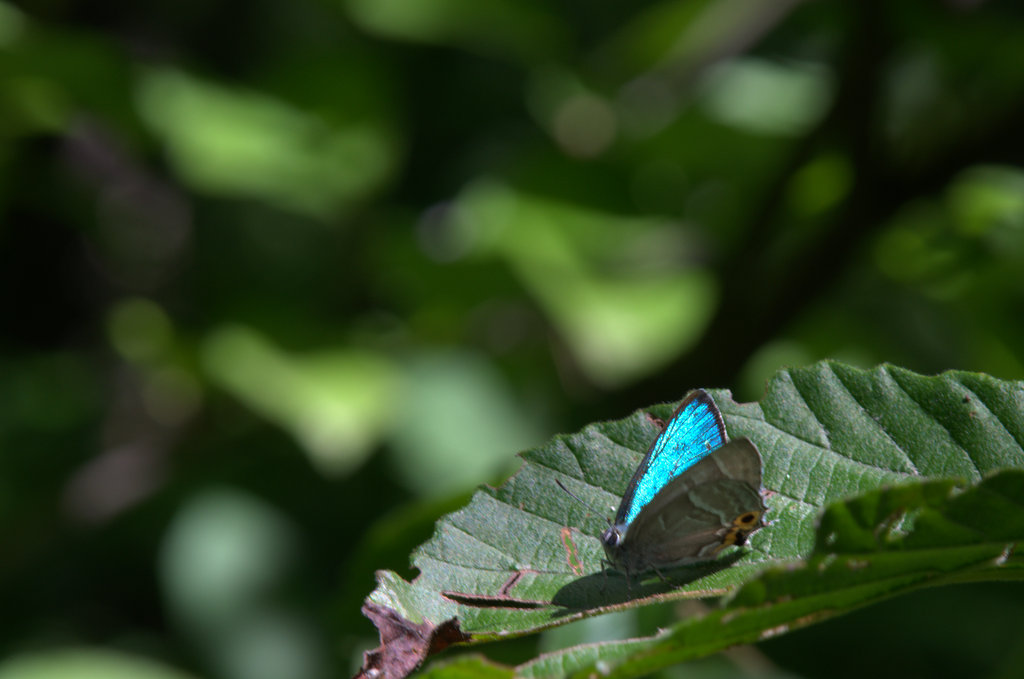 d0098057_430818.jpg