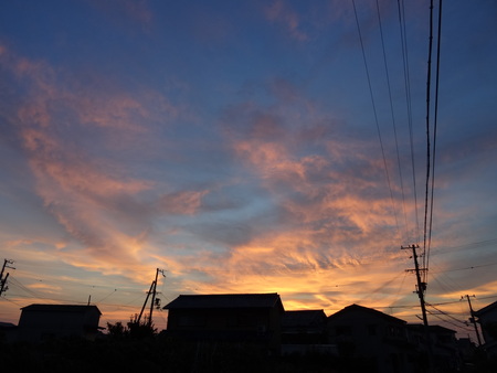 c0108460_21484746.jpg