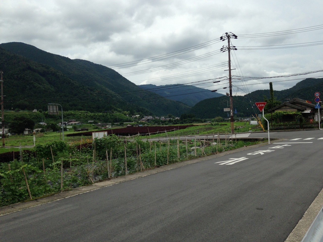 b0044663_0202528.jpg