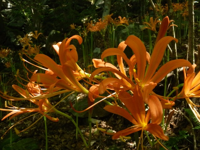 c0042869_22443428.jpg