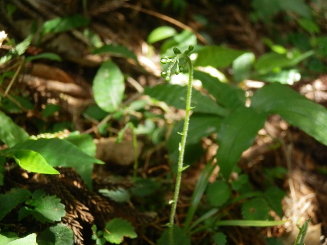 c0042869_22565691.jpg