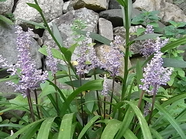 a0146070_5293969.jpg