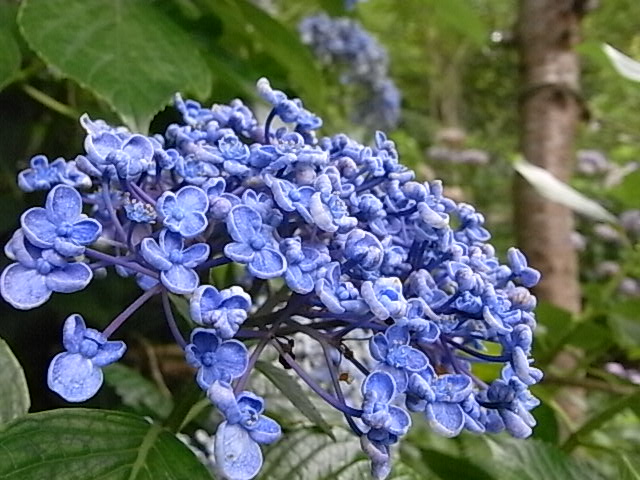 a0146070_536272.jpg