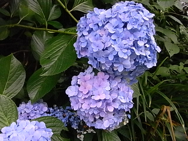 a0146070_5373090.jpg
