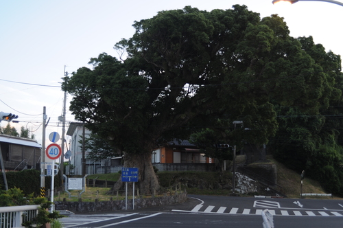 a0043276_7415110.jpg