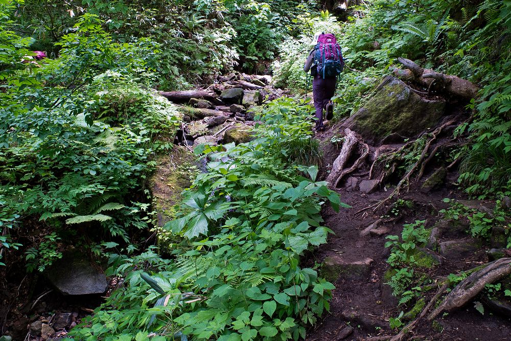 f0234982_16551585.jpg