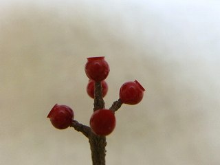 b0185290_2257328.jpg