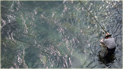 c0154095_15462481.jpg