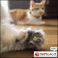人気ブログランキングへ