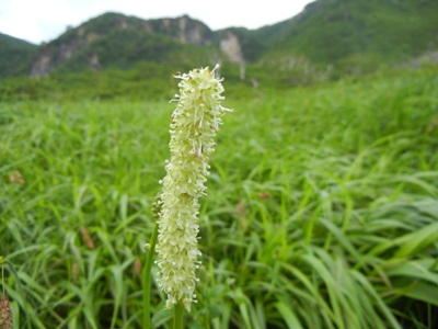 a0236300_046748.jpg