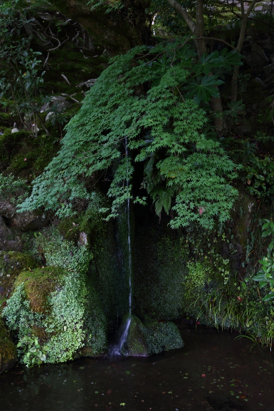 c0248100_2222389.jpg