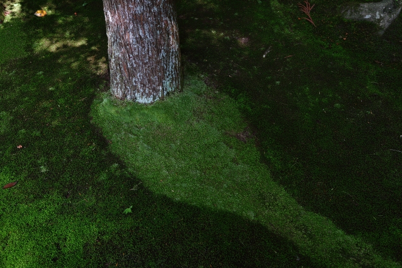 c0248100_2234544.jpg