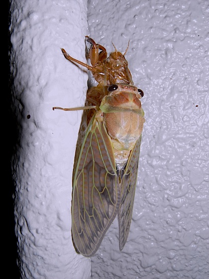 d0166900_23254017.jpg
