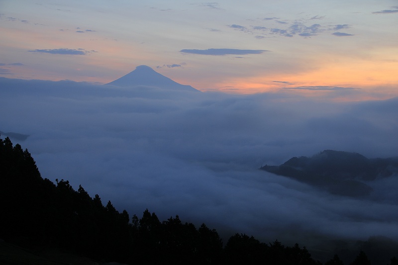 a0188405_8123238.jpg