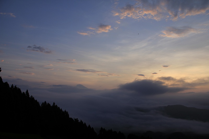 a0188405_8154725.jpg