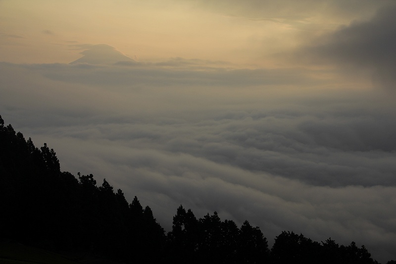a0188405_8164580.jpg