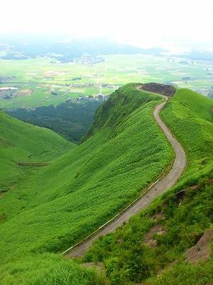 f0100911_21354346.jpg