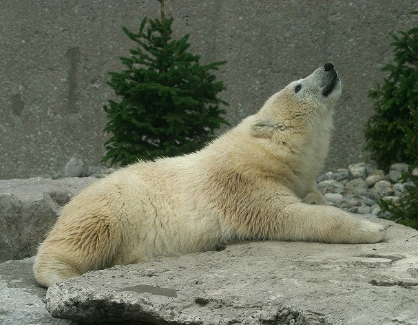 a0151913_10375457.jpg