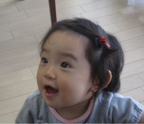 c0094218_81239.jpg