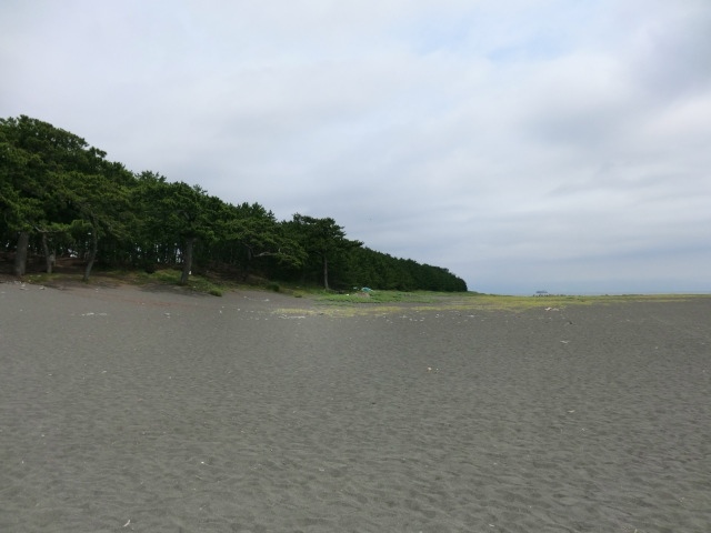 f0186021_623123.jpg