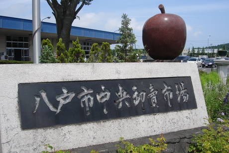 d0250123_11325025.jpg