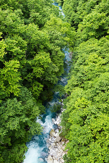 e0025030_7113021.jpg