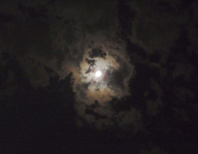 f0132230_2214714.jpg