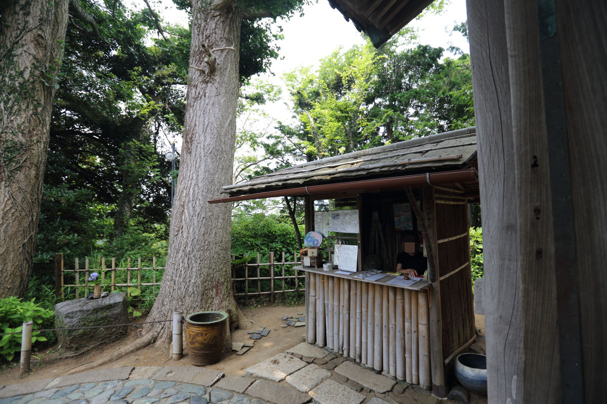 d0177632_842272.jpg