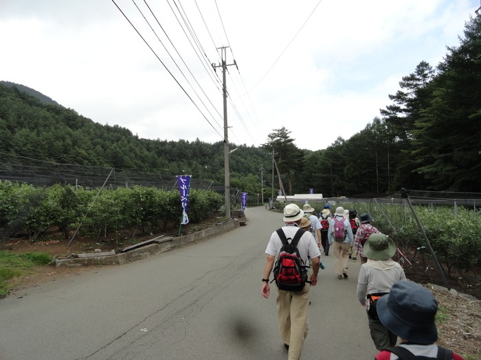 f0238932_21454488.jpg