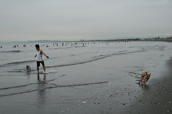 f0094843_1525962.jpg