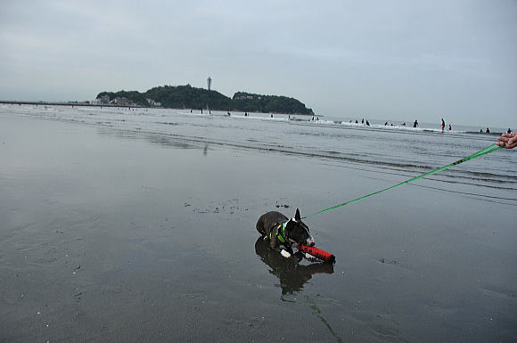 f0094843_15404528.jpg
