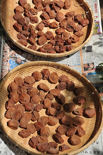 f0094843_15541117.jpg