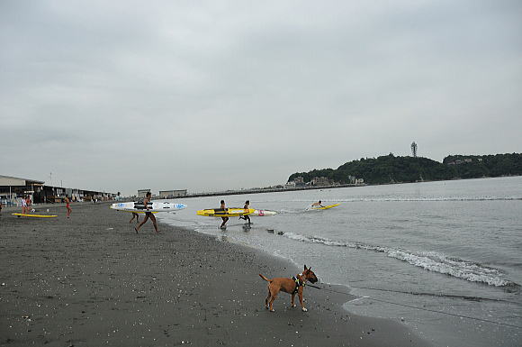 f0094843_157131.jpg