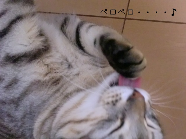 c0259945_14362571.jpg