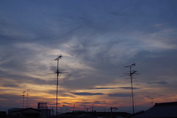 a0299749_22155590.jpg