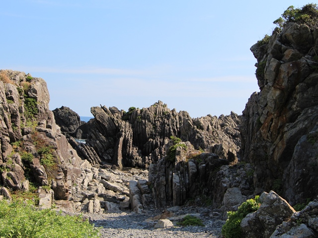 e0017051_2154741.jpg