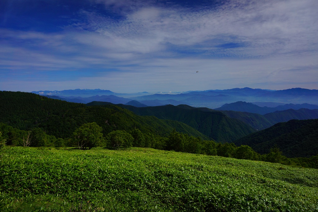 e0223456_17185932.jpg