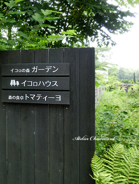 f0229759_11502045.jpg