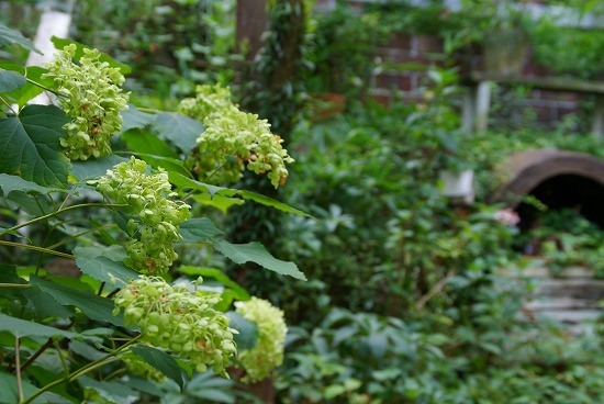 d0083761_21364329.jpg