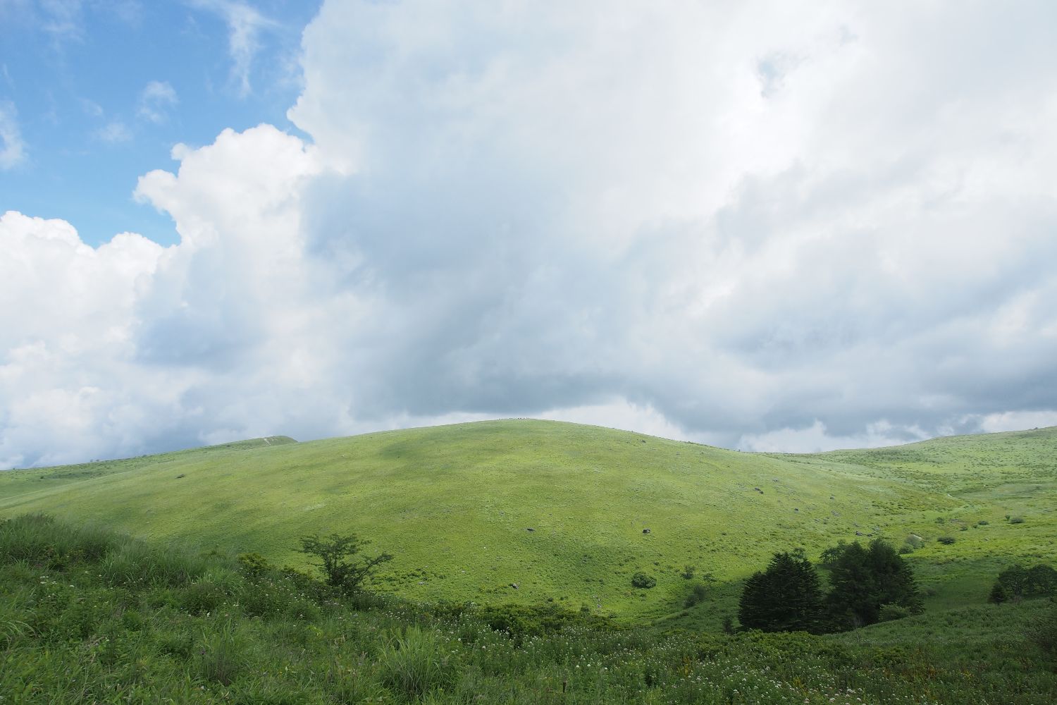 e0307372_1514265.jpg