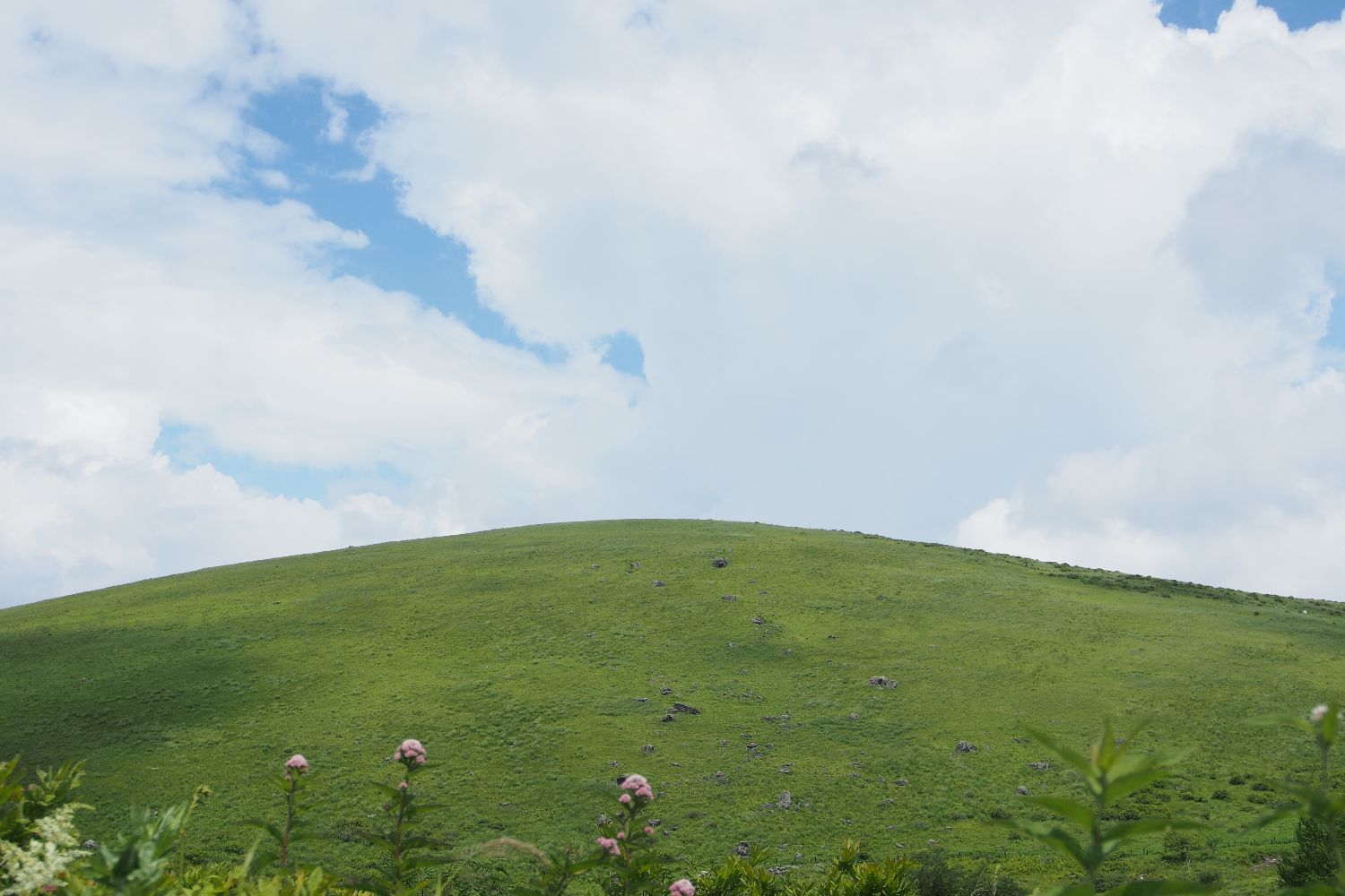 e0307372_17103215.jpg