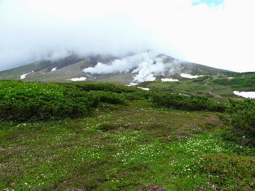d0084473_21335127.jpg