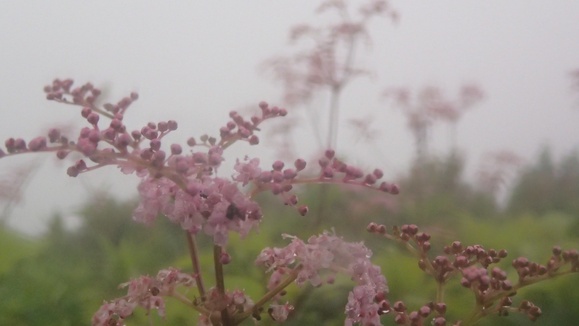 e0024081_22105357.jpg